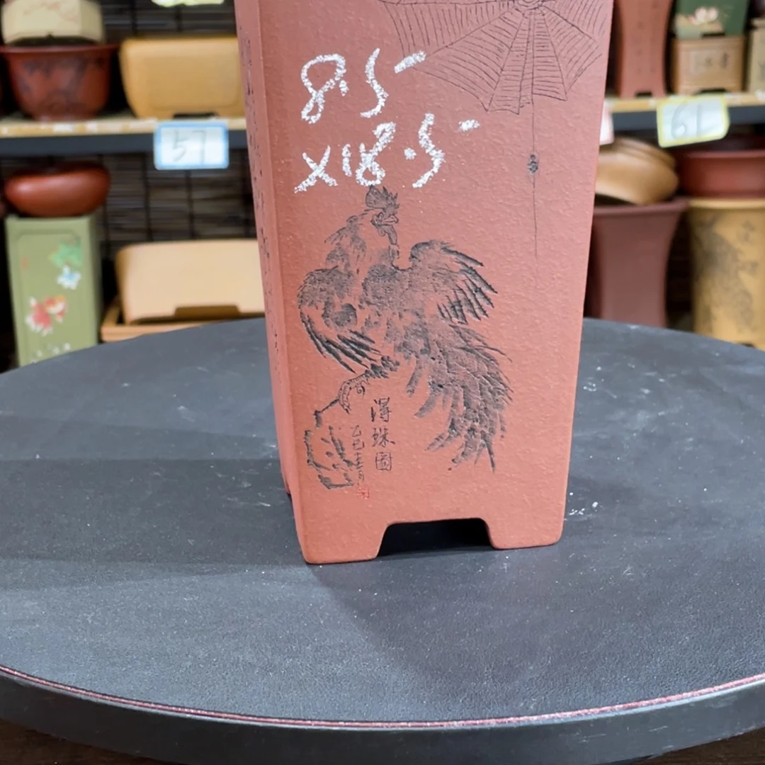 紫砂花盆在一起吗