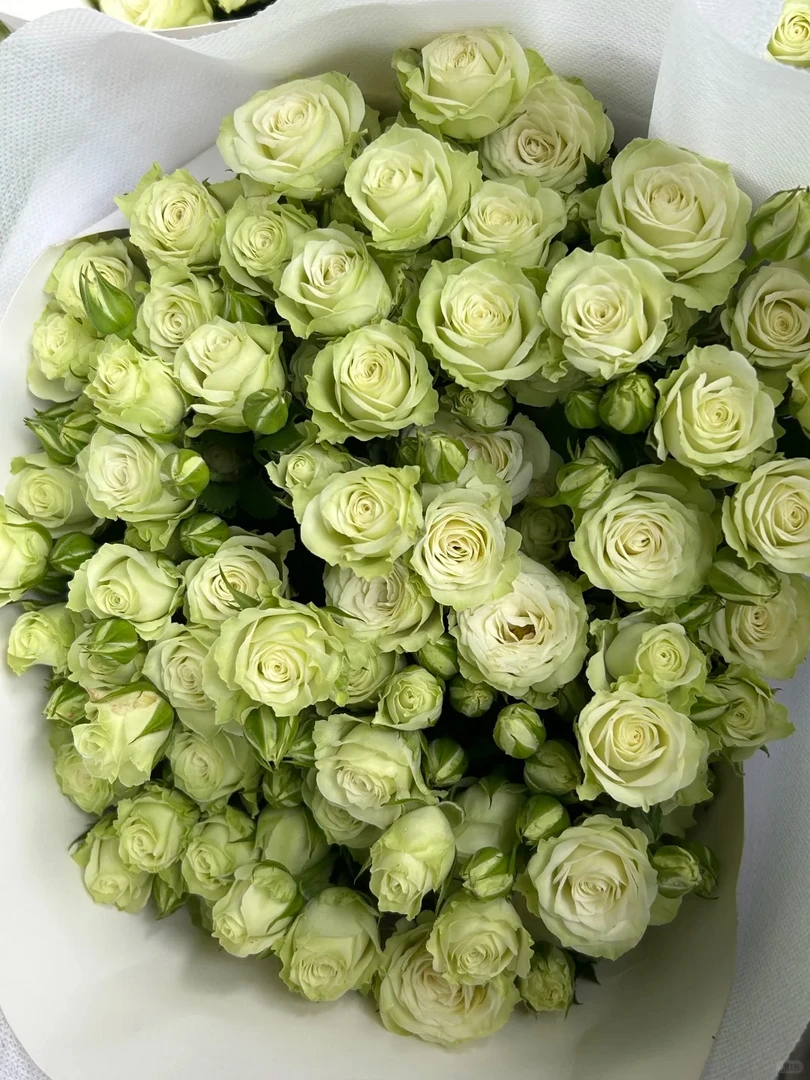 云南鲜花【繁星】多头玫瑰适合客厅插花水养