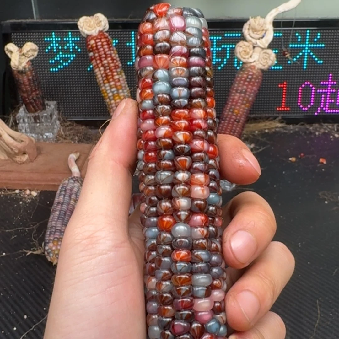 柏香籽/百香籽吊坠念*