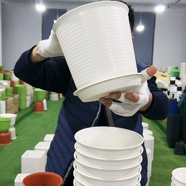 正品高陶口18高18白色8只带托