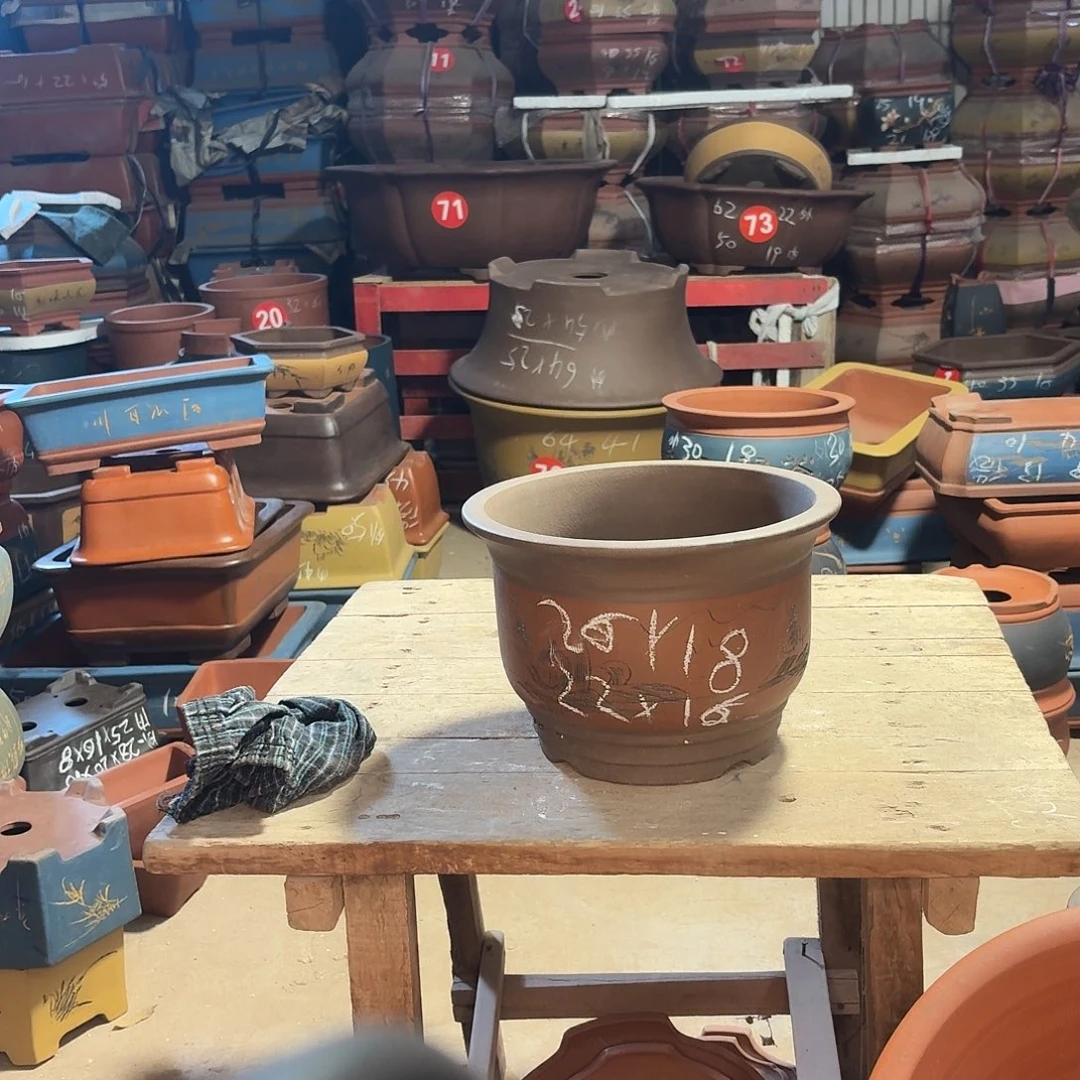 紫砂紫砂金钟花盆一个