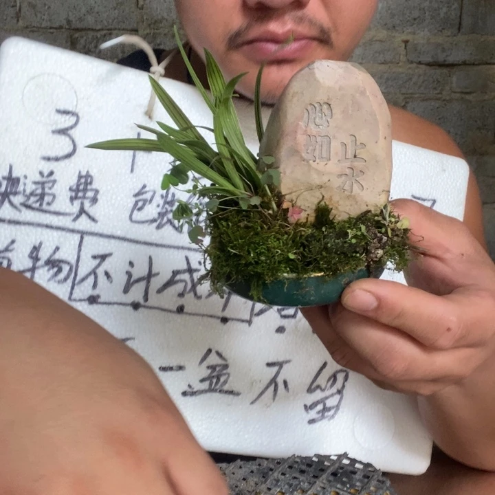退款拉黑一物一拍27