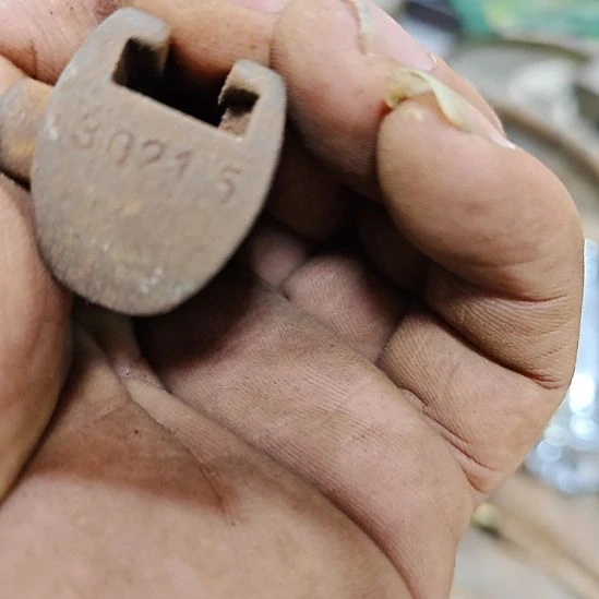 志***者木五11111111111111111111111