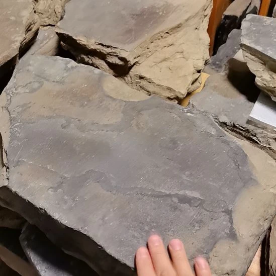 塔***人御窑金砖嘉靖头款茶盘