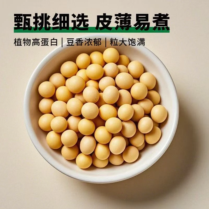 黄豆500g农家新鲜非转基因黄豆生豆芽打豆浆专用大豆批发榨豆油