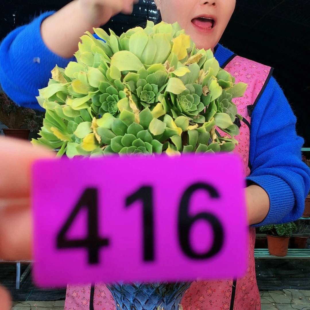 ssssssssssssssssssss416