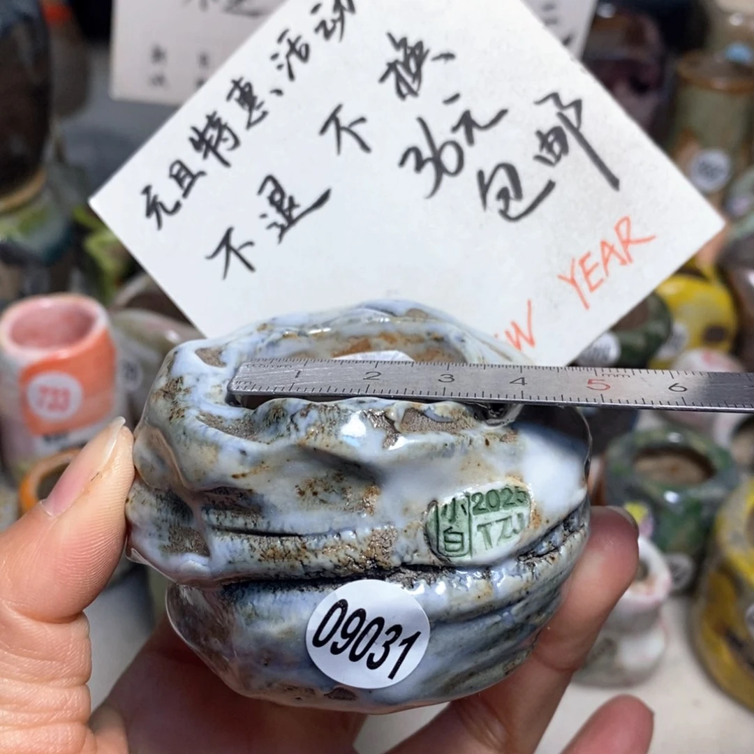 元旦特惠盆不退不换，原价68元一个