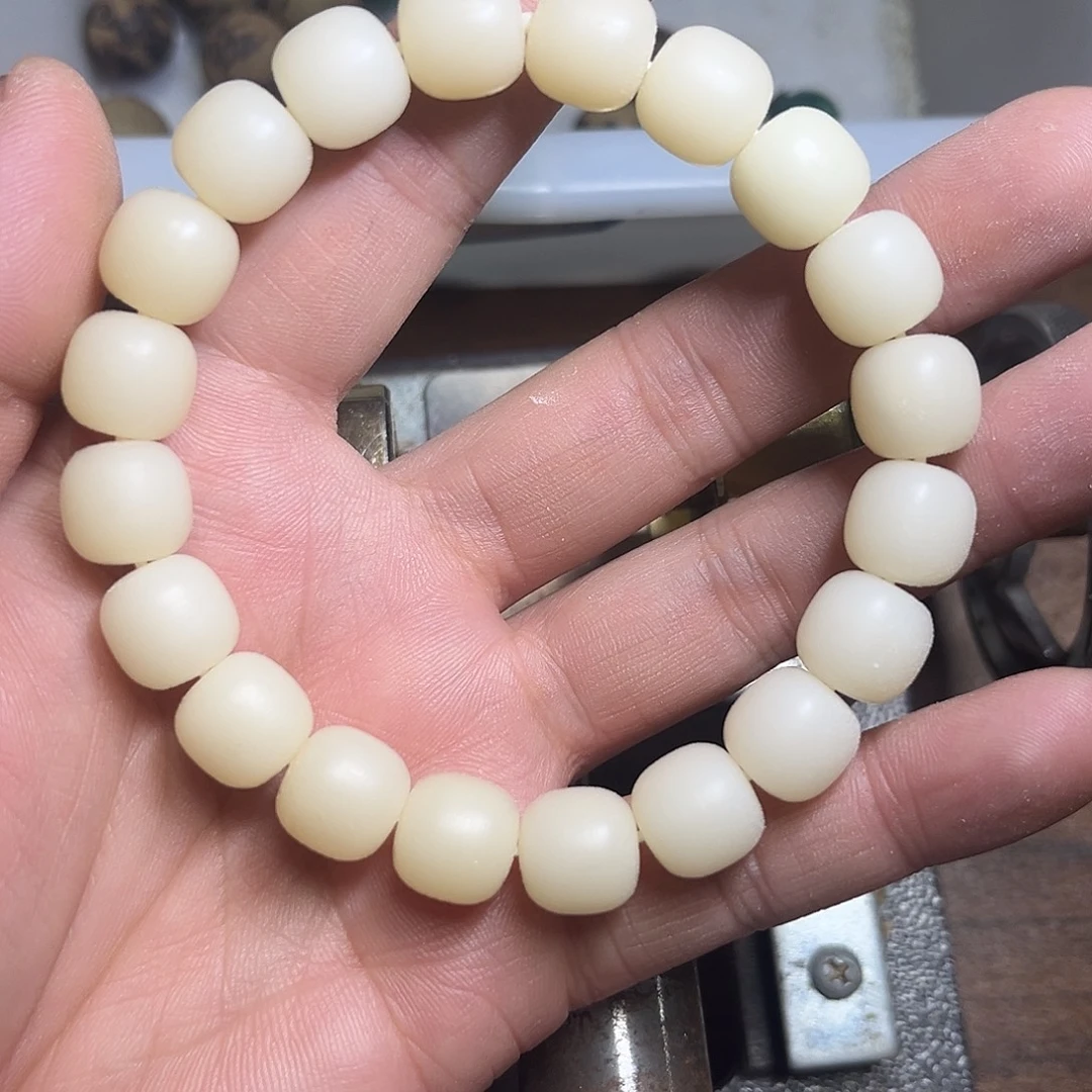 手串菩提根/象牙果