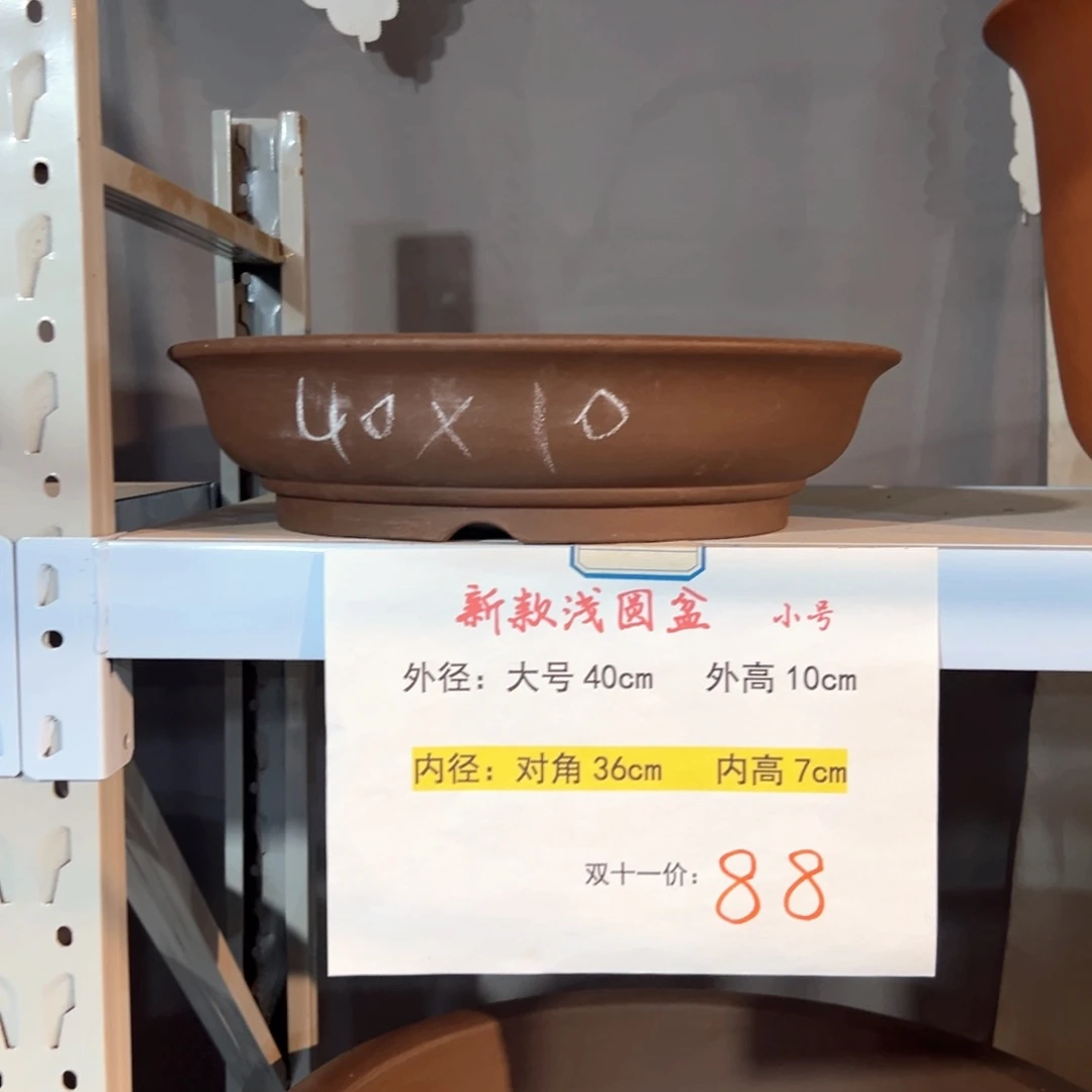 新款浅圆盆小号一个