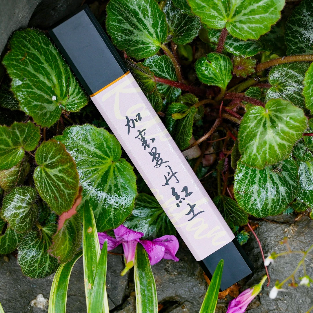 【记香时】口粮香 加里曼丹红土 沉香线香