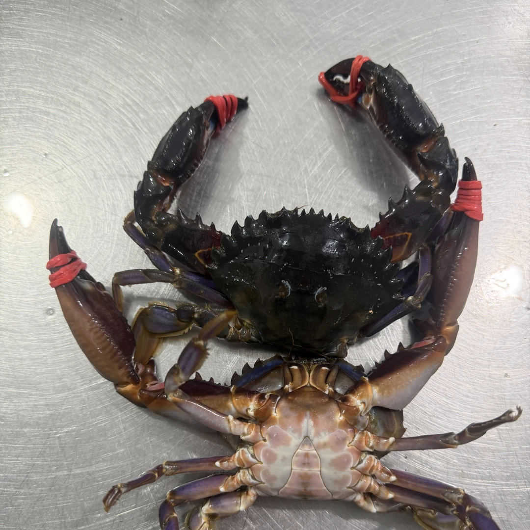 （小）东港野生赤甲红【保鲜不保活】3斤个别缺腿大小不均介意勿拍