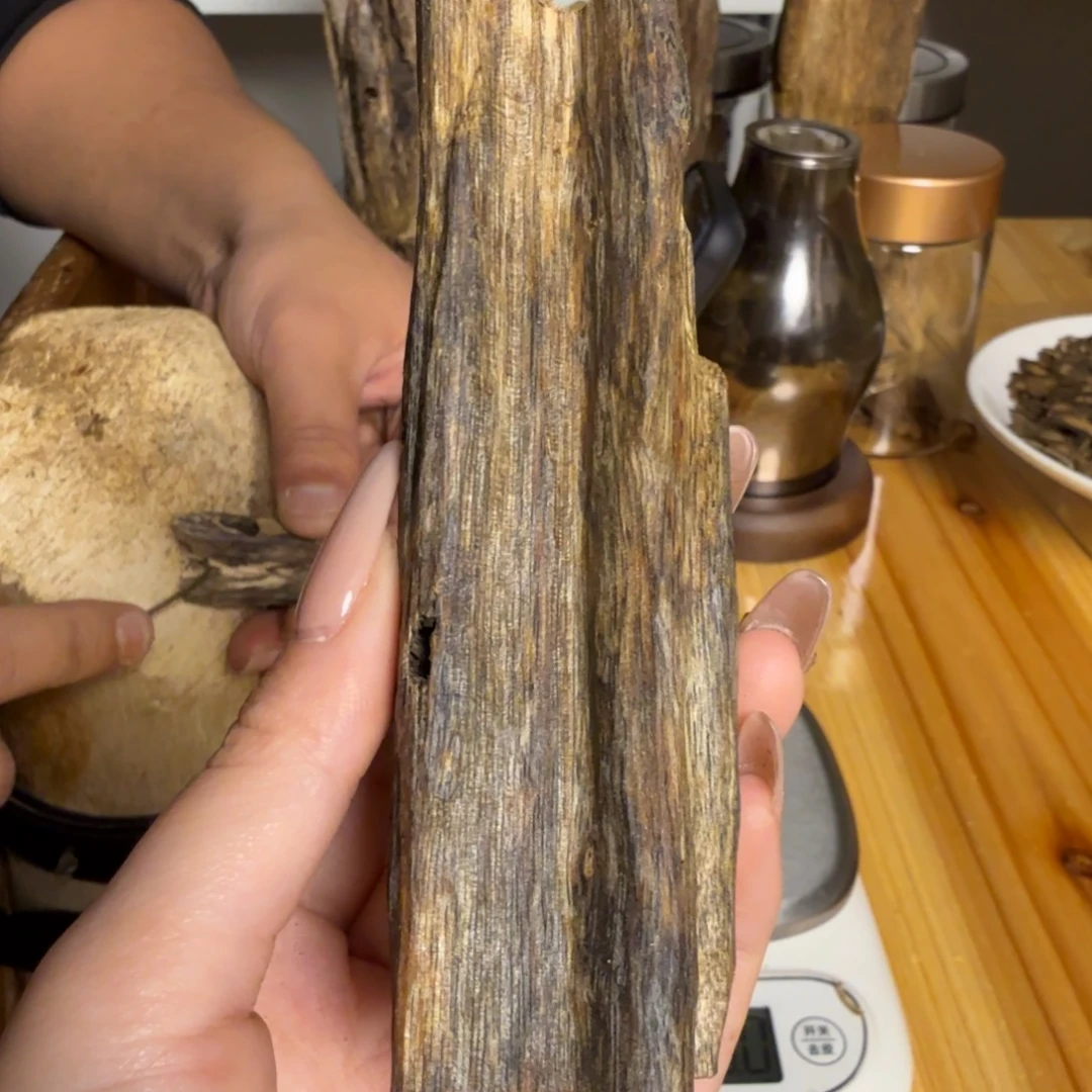 沉香陆河虫漏香25克