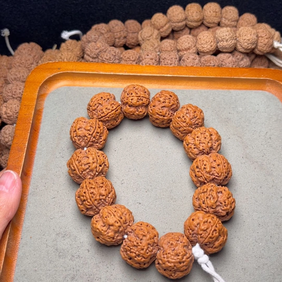 菩提2号金刚菩提粗筋梅花25