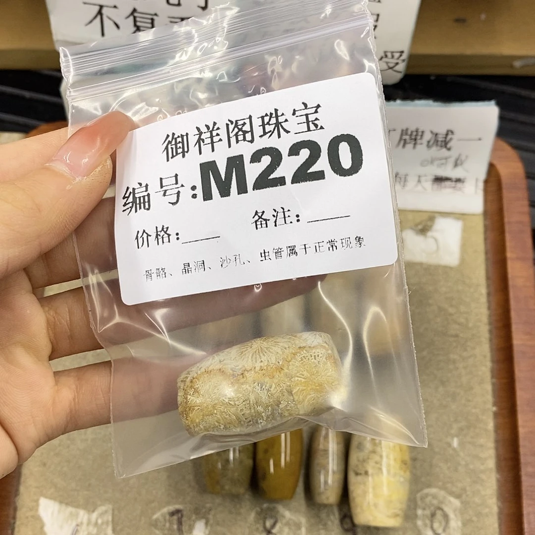 硅化珊瑚（珊瑚玉）未镶嵌颈饰孙*宝