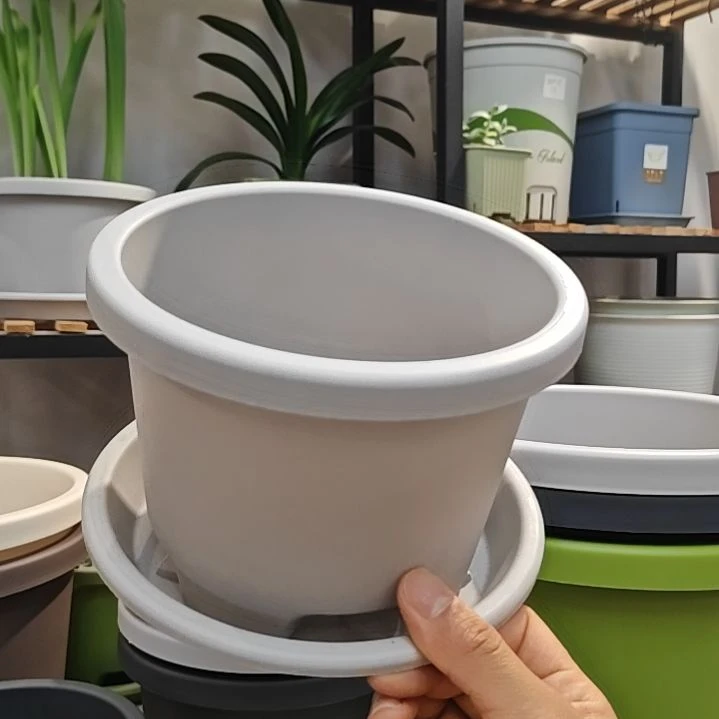 球根外口径16.5，灰白带托五个