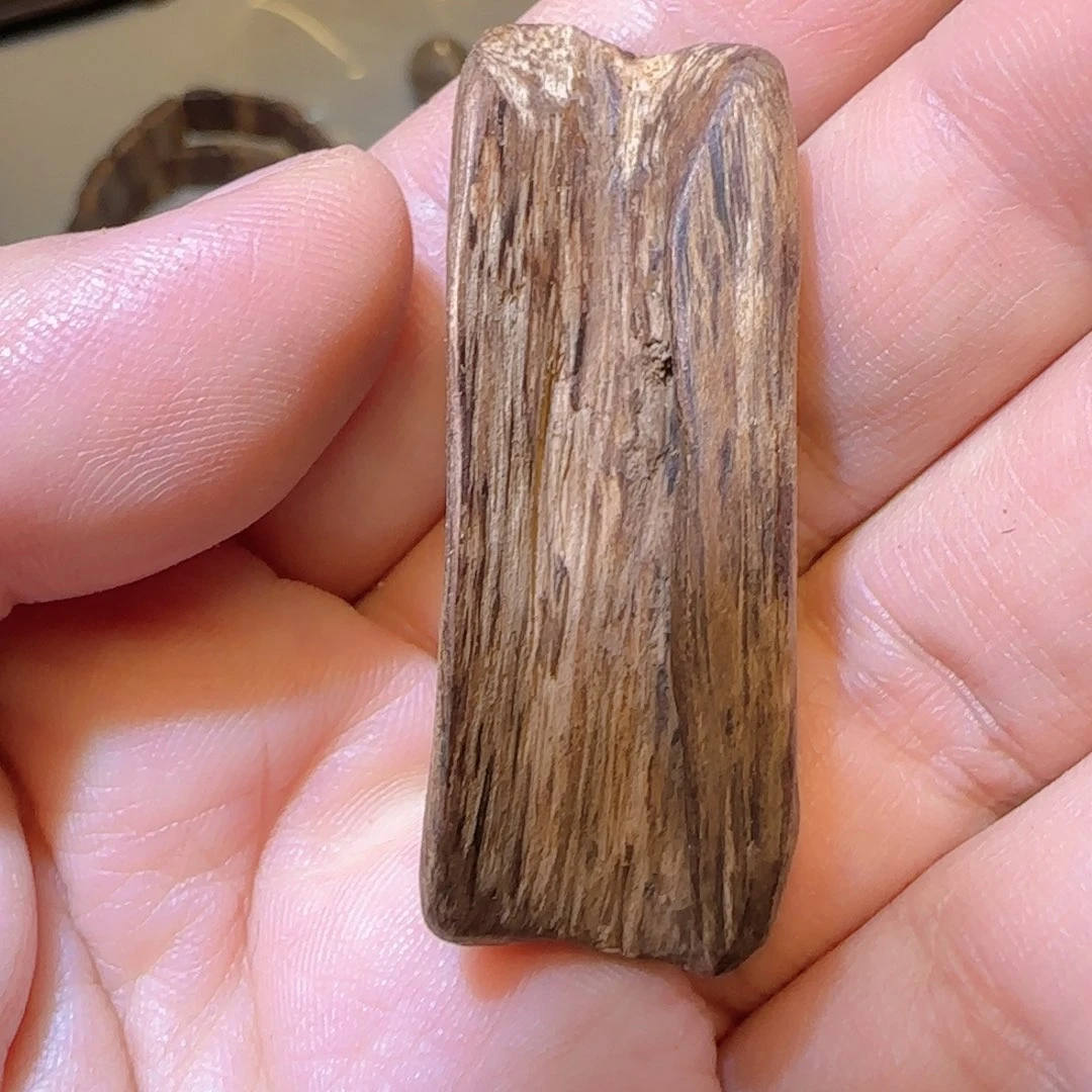 沉香沉香碎屑2.44克莱特岛9分沉老料不退