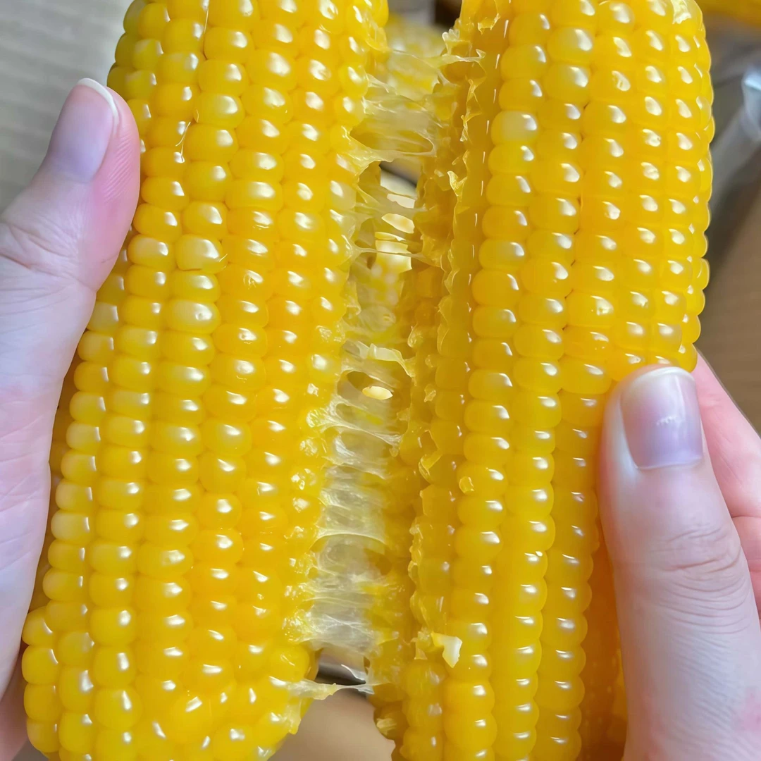 一箱15棒【试吃6棒】东北黄糯玉米粘苞米整箱真空袋装玉米