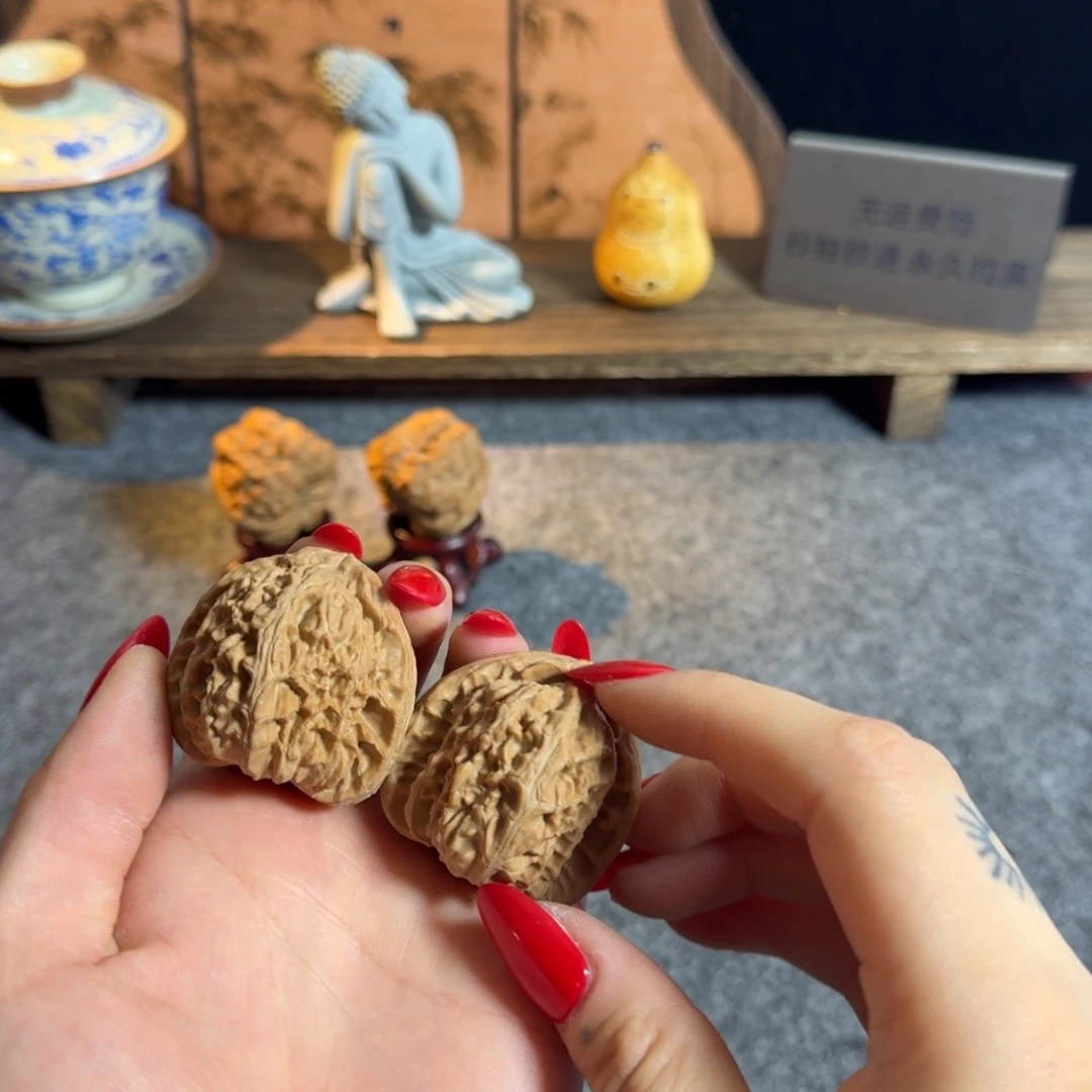 全品42不打药老树狮子克重44