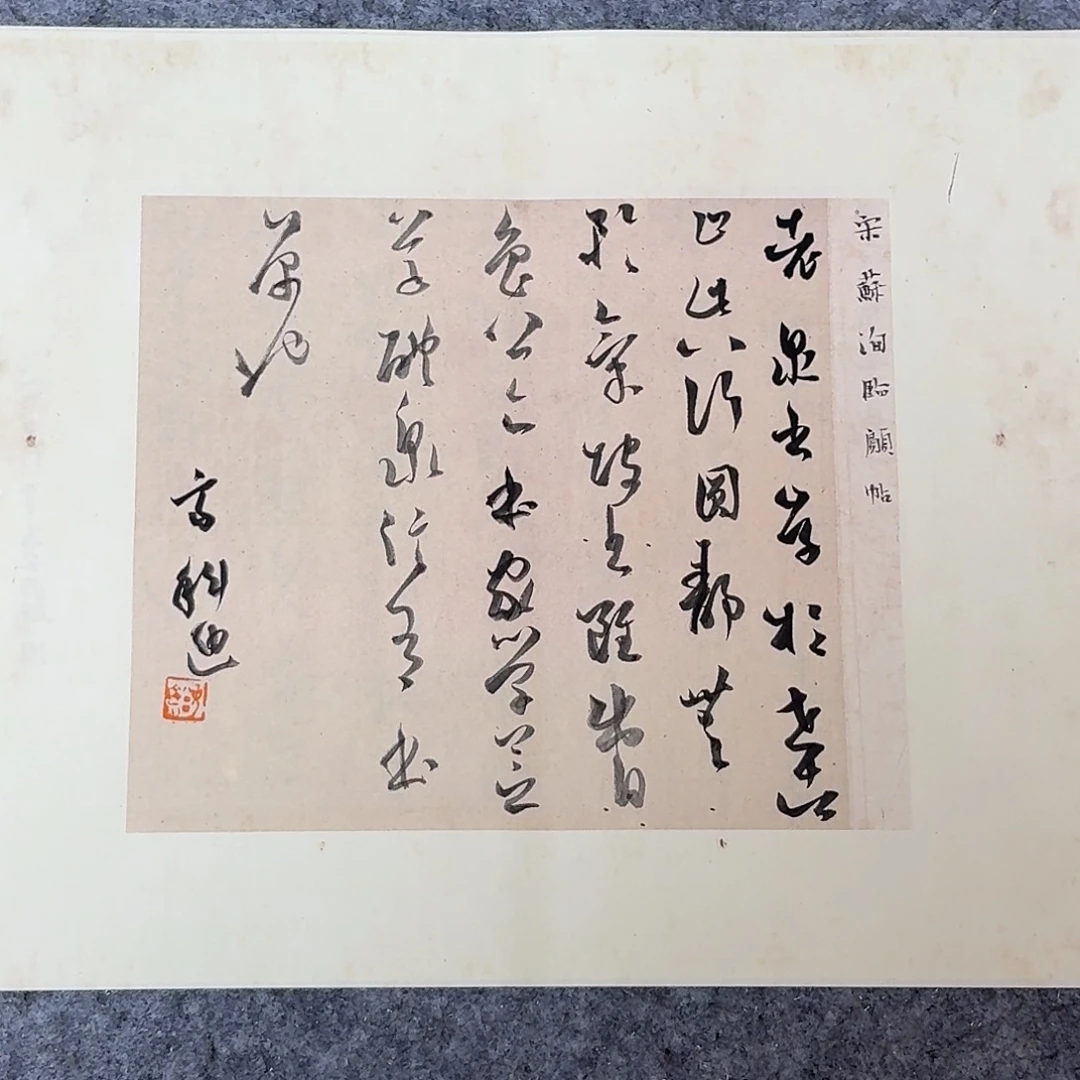 书法国展书家齐科迪40×30