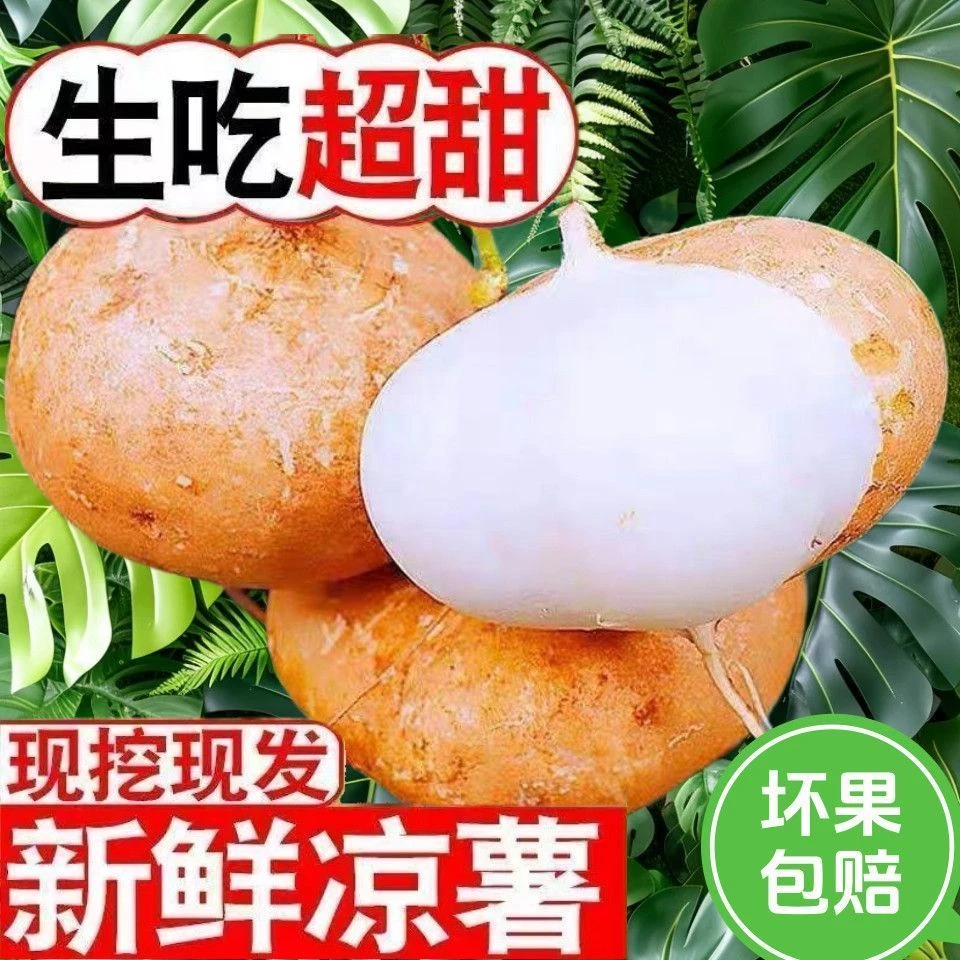 云南地瓜地萝卜凉薯新鲜土瓜清甜爽脆现挖现发当季清甜水果蔬菜