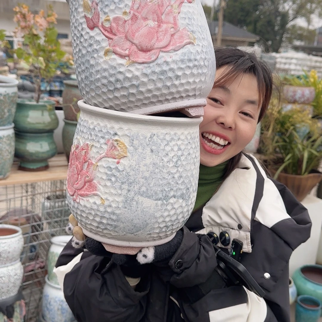 王嫂花盆1223-142高22口19