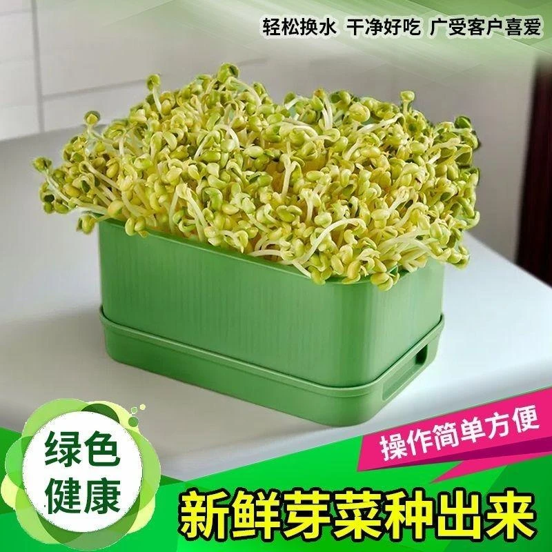 【雨朦优选】发豆芽专用盆家用豆芽育苗盆豆芽罐花生黄豆绿豆芽苗盒