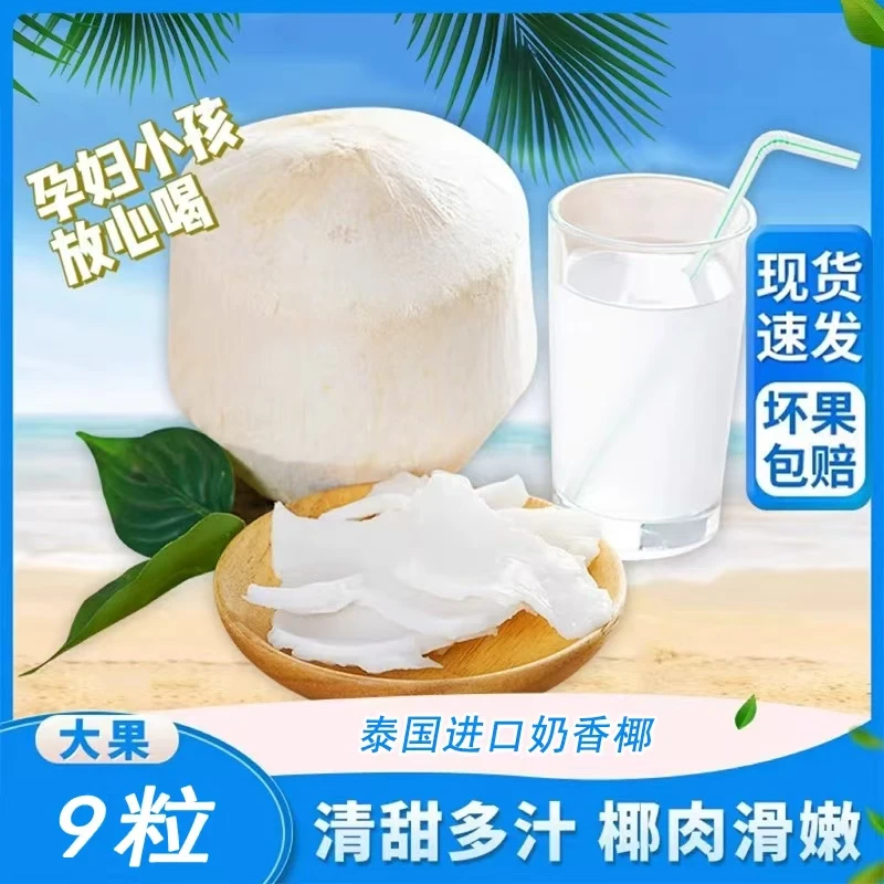 泰国椰青特产椰子奶香进口椰肉椰汁新鲜水果当季孕妇饮料大果整箱