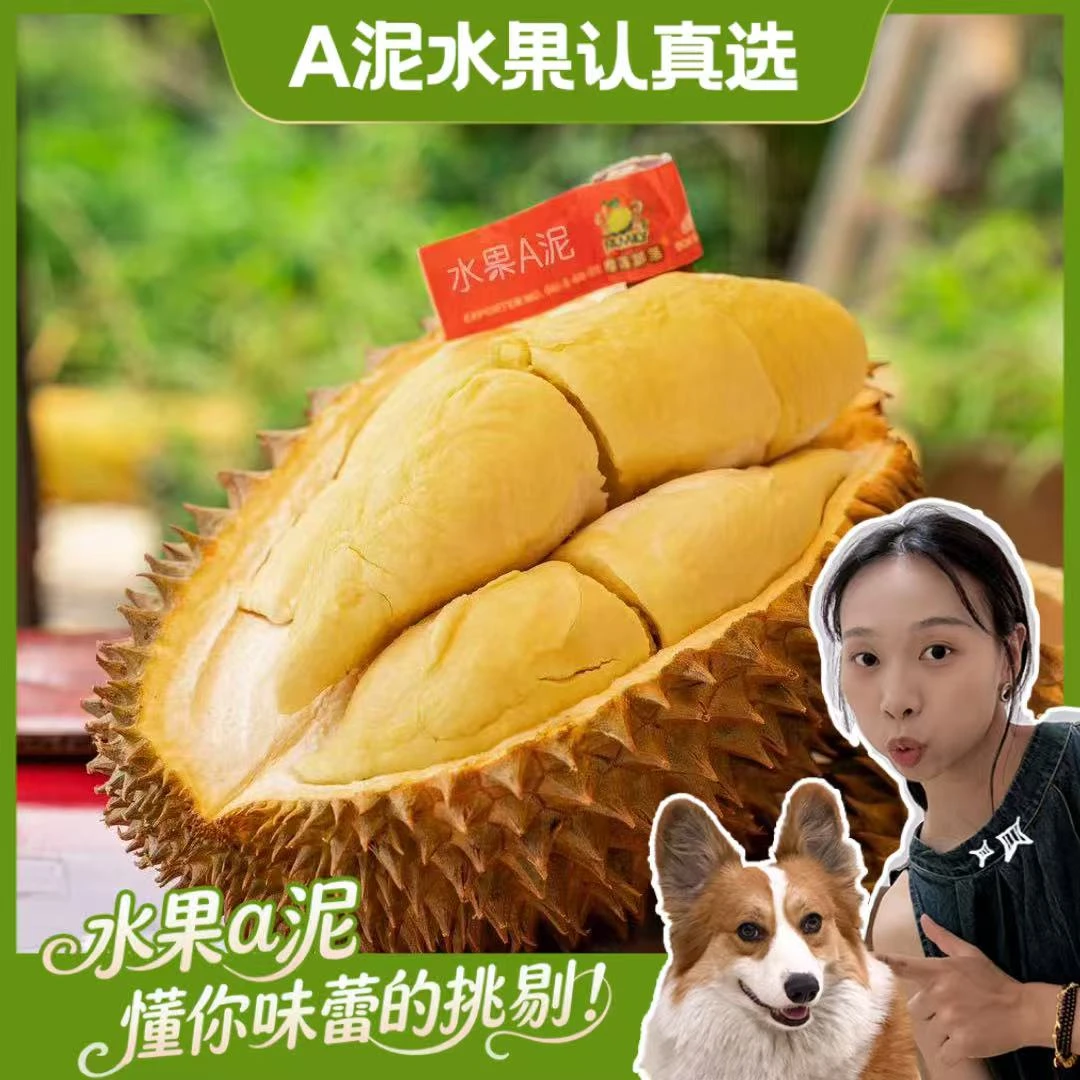 【次日达】【A果】‘’深林金枕”素可泰 泰国空运北部自然熟鲜榴莲核小3-8斤【包4房】榴莲同城配金枕泰国东部