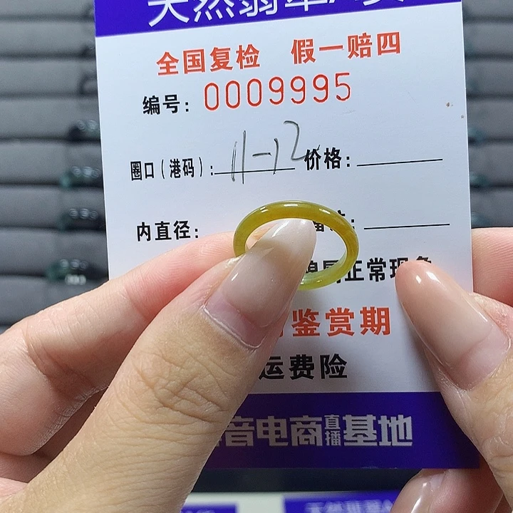 未镶嵌戒圈翡翠9995