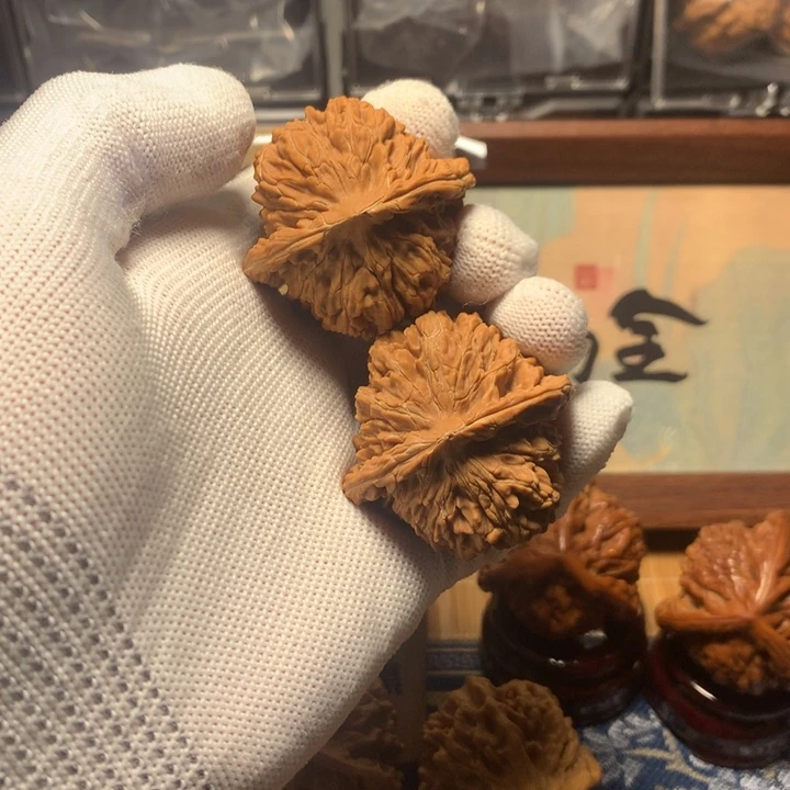 少***陈哈哈哈哈哈哈哈哈哈