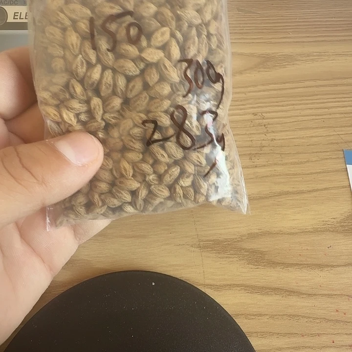 柏香籽/百香籽吊坠爱****～