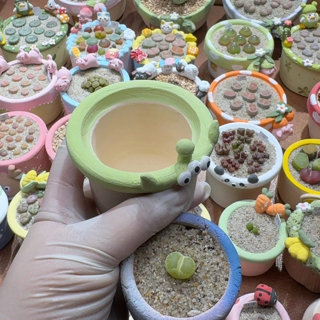 煮***茶1214-049连盆带花绿菊