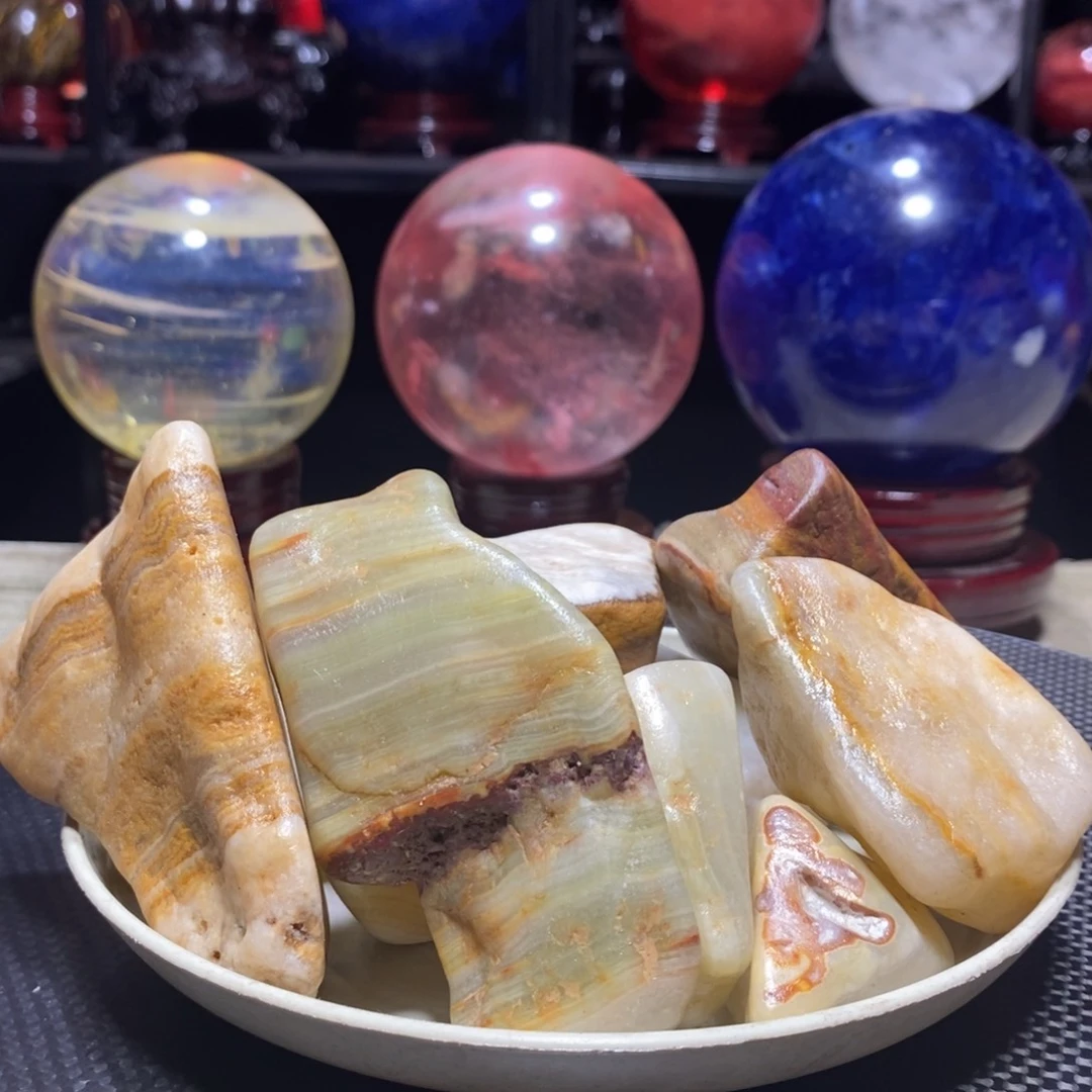 茶宠我在这里等你回来了