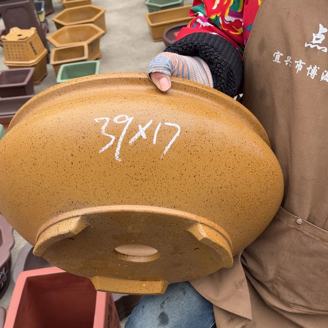 紫砂花盆盆景艺术