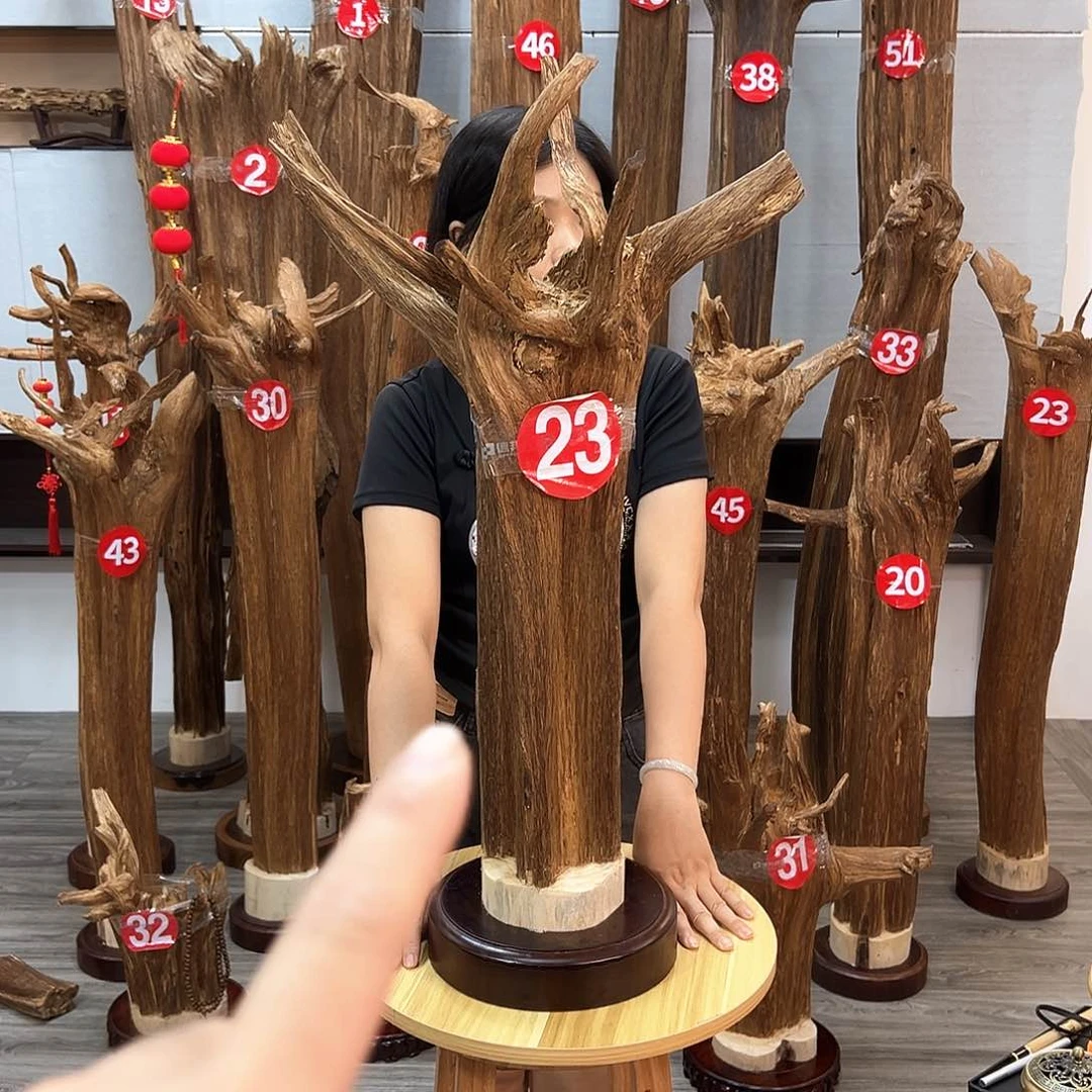 沉香沉香碎屑大****司沉香