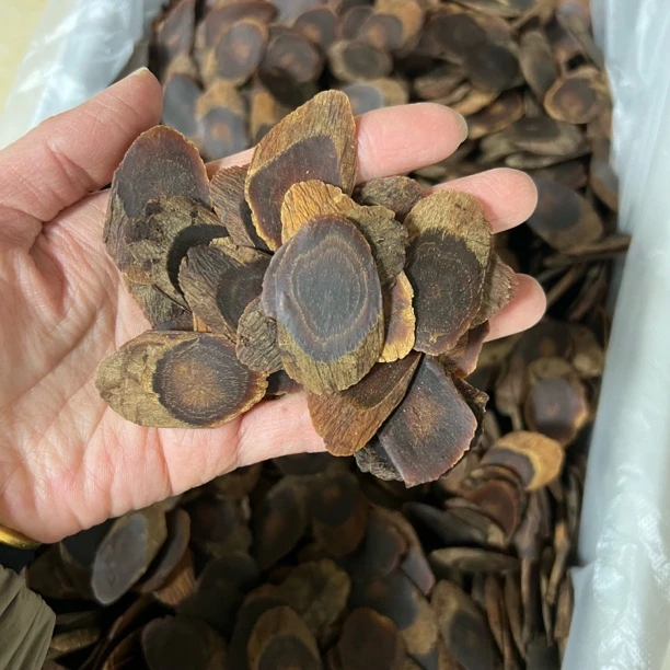 长白山原产地 沉香老高丽参特大片