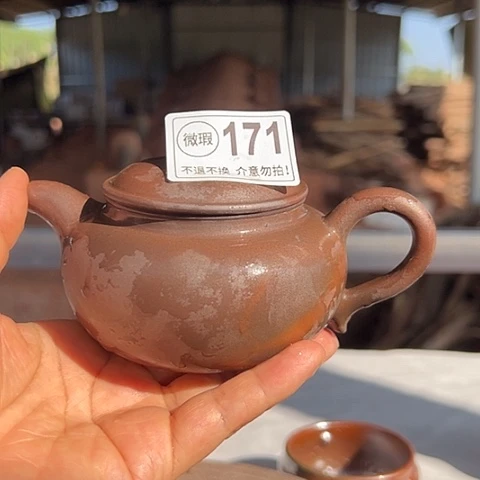 戬谷龙窑柴烧茶壶171