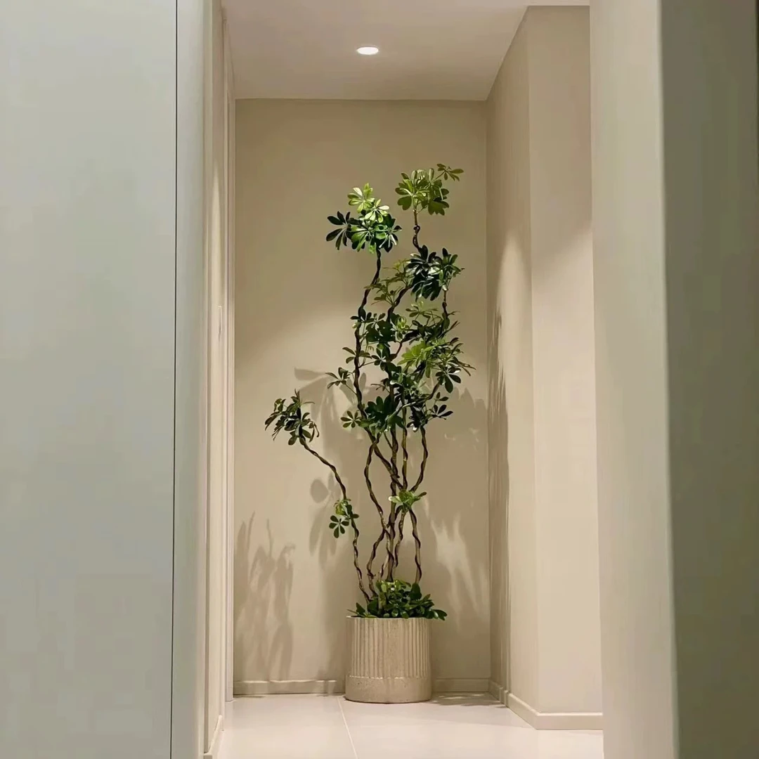 造型鸭脚木大盆栽室内网红植物净化空气除甲醛摆件办公室客厅大型