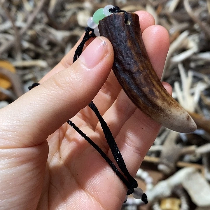 非金属鹿角鹿角随机发