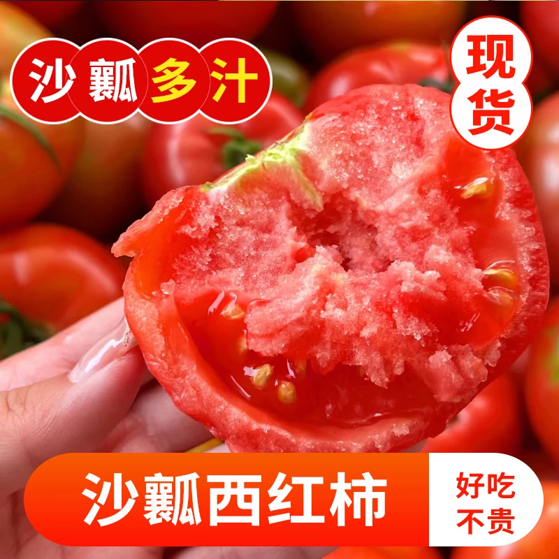 四川攀枝花自然熟番茄露天新鲜采摘农家酸甜多汁产地沙瓤西红柿
