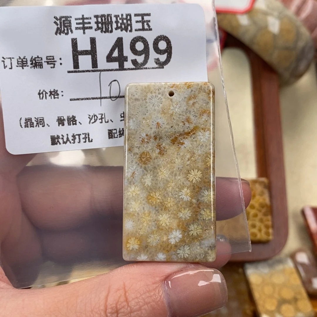 硅化玉颈饰未镶嵌A****王