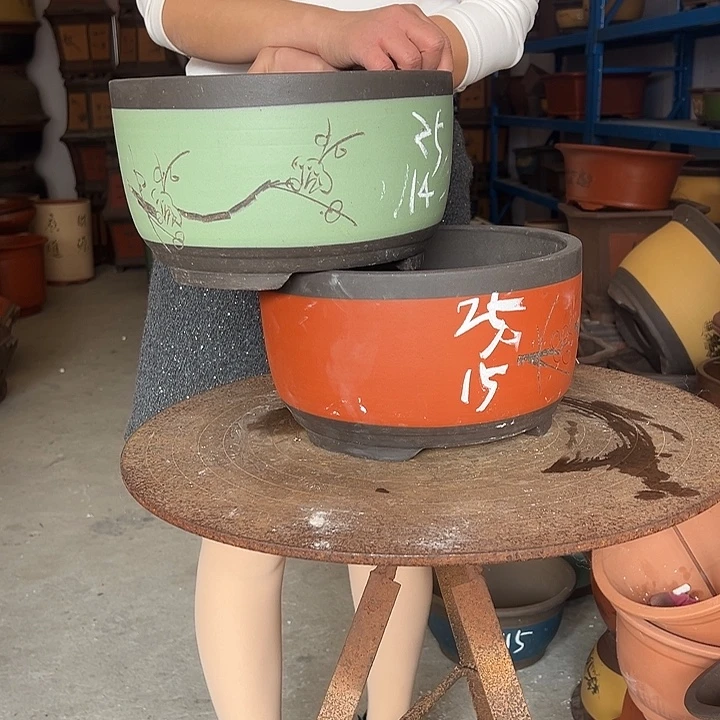 25红秋盆和25苹果绿萝大