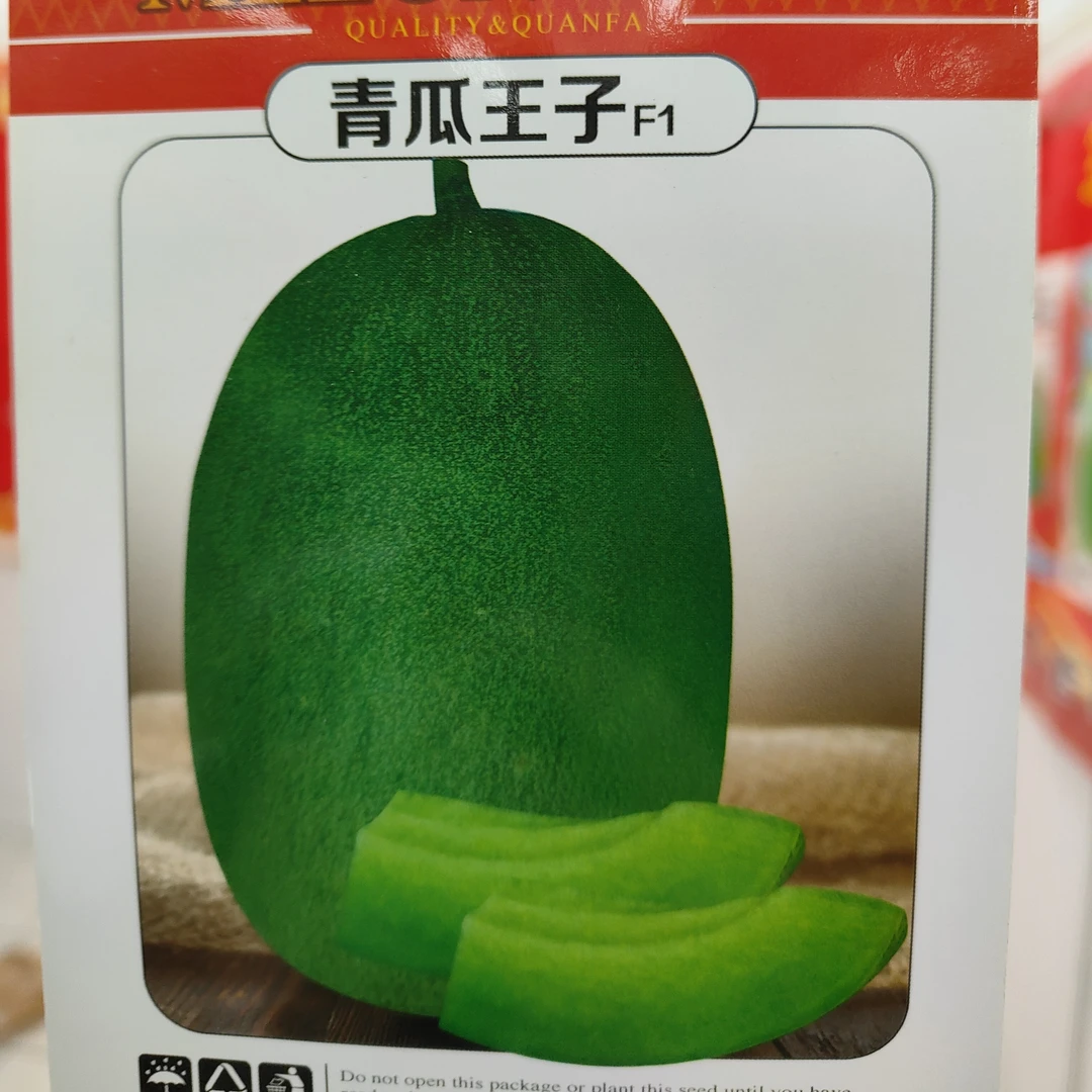 绿皮绿肉薄厚皮甜瓜青瓜王子