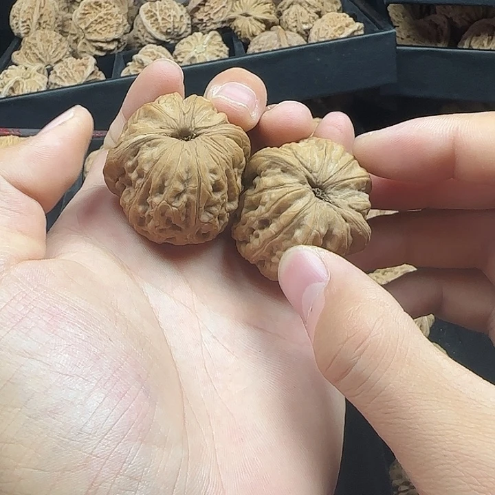 不***困龙脊菩提吊坠啊啊啊啊啊啊啊元宝12