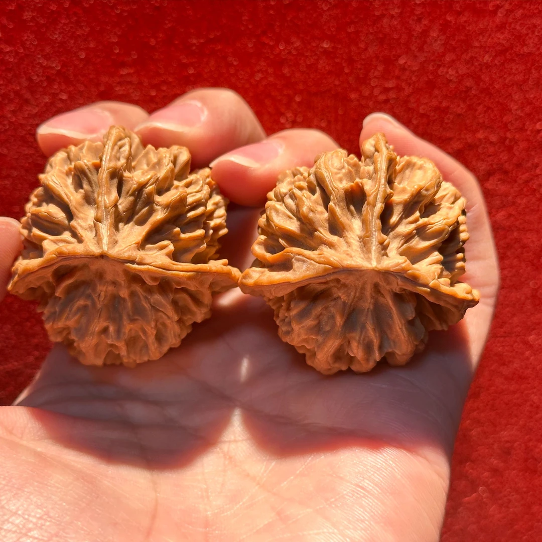 大林子元旦破价福利 帝王三棱 38mm以上