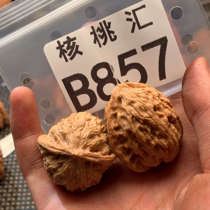 S***Z吊坠文玩核桃野生