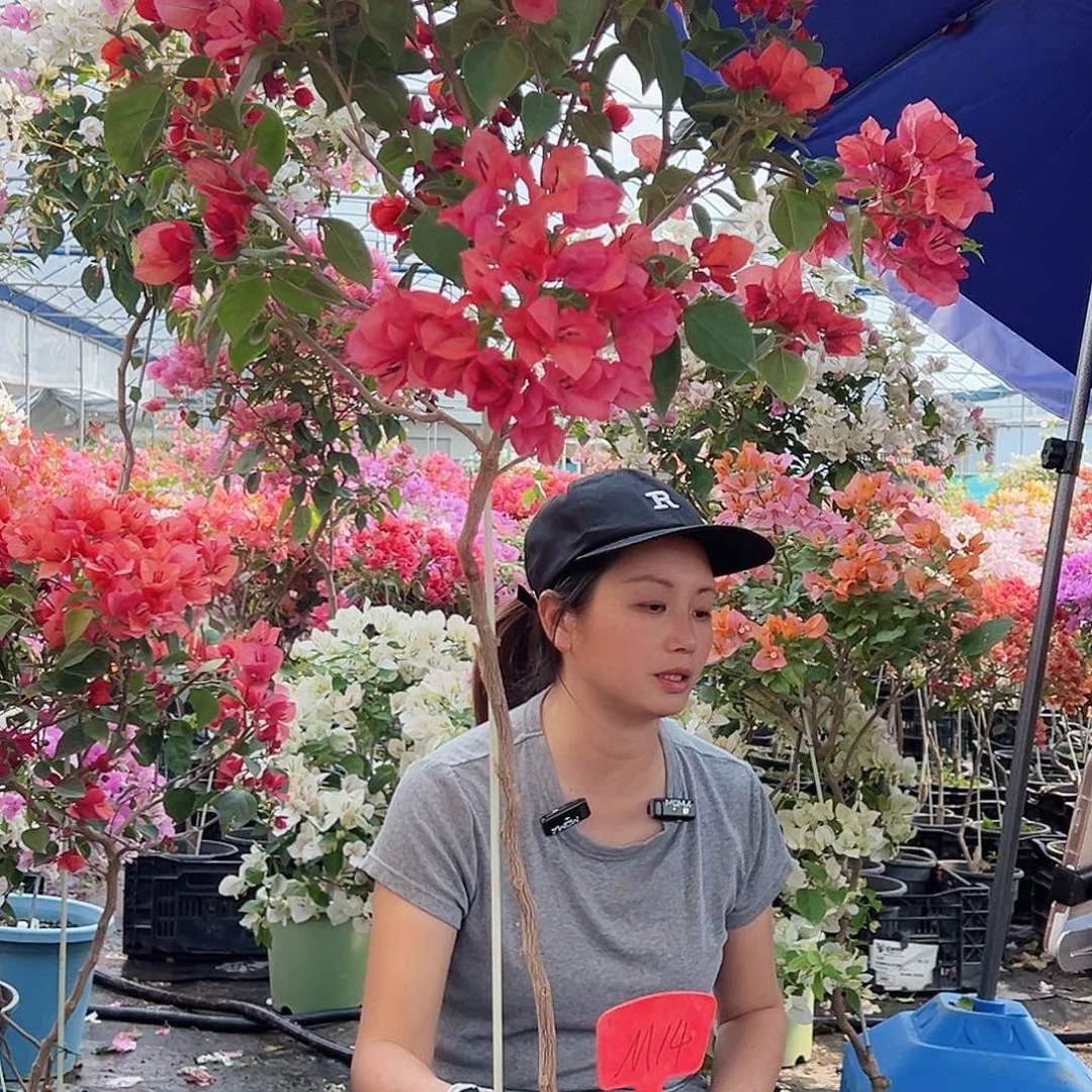 红***1大部分花苞少量开放M14不甜