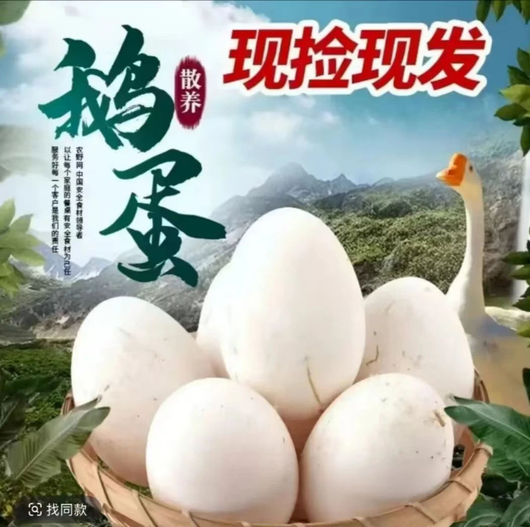 【买十枚送十枚】土鹅蛋农家散养雁鹅蛋新鲜现捡