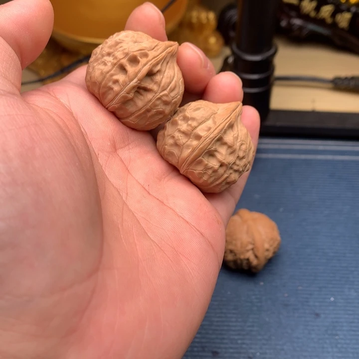 文玩核桃龟甲啊啊啊啊啊