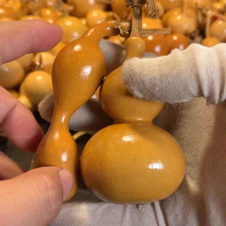 你的意思你也不会去看她